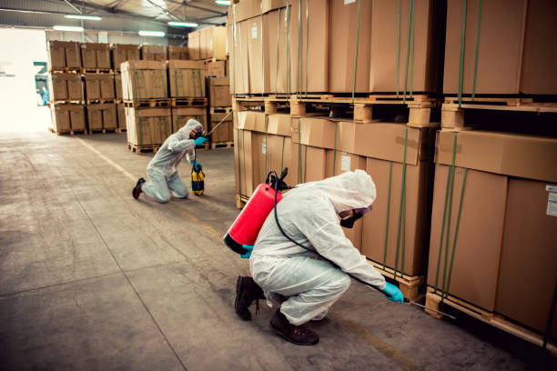Best Cockroach Control Services  in Colon, MI