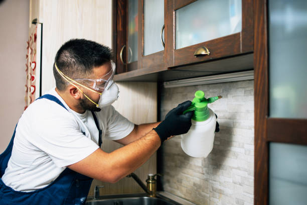 Best Mosquito Control Services  in Colon, MI