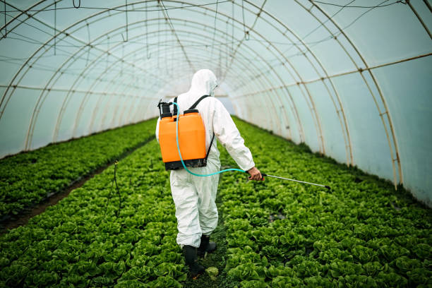 Best Local Pest Control Services  in Colon, MI