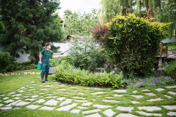 Best Wasp Removal Services  in Colon, MI