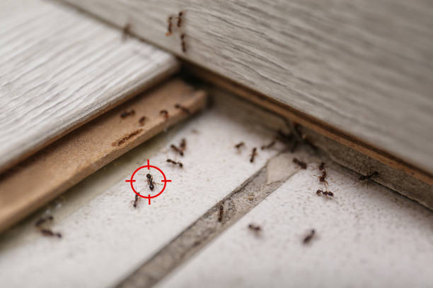 Pest Prevention Services in Colon, MI