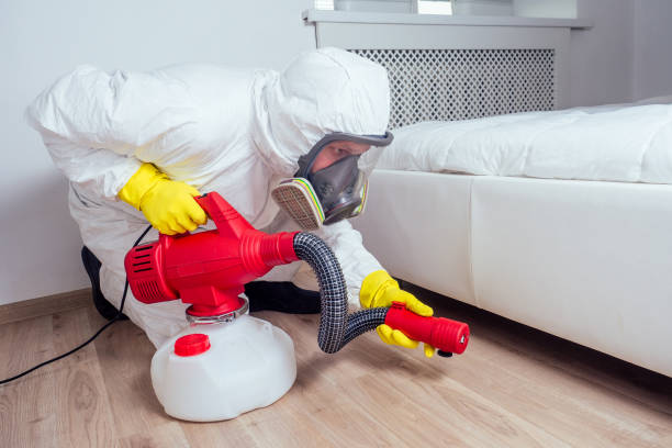 Best Affordable Pest Control Services  in Colon, MI