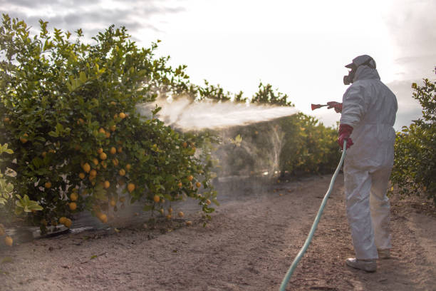 Best Pest Prevention Services  in Colon, MI