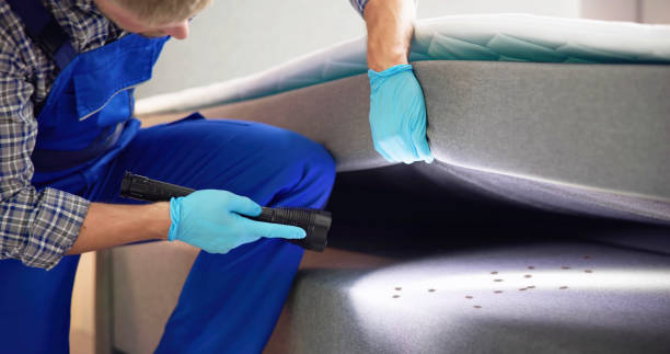 Best Exterminator Services  in Colon, MI