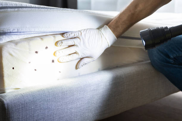 Best Pest Inspection Near Me  in Colon, MI
