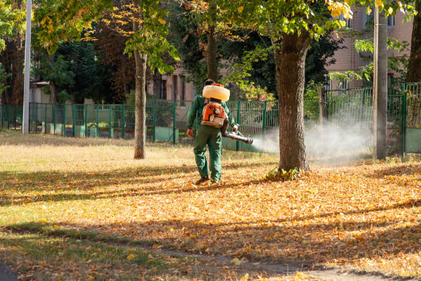 Best Termite Control Services  in Colon, MI