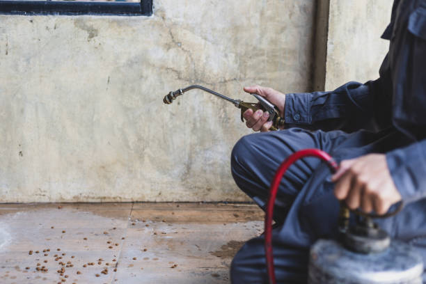 Best Exterminator Services  in Colon, MI