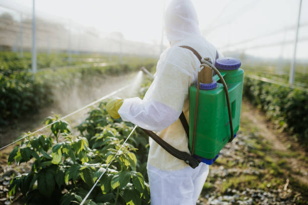 Best Best Pest Control Companies  in Colon, MI